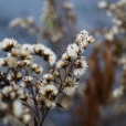 Wyniki konkursu fotograficznego „Kolorowa Łaka”